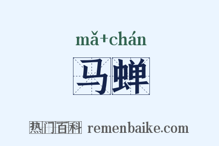 马蝉是什么意思的图片